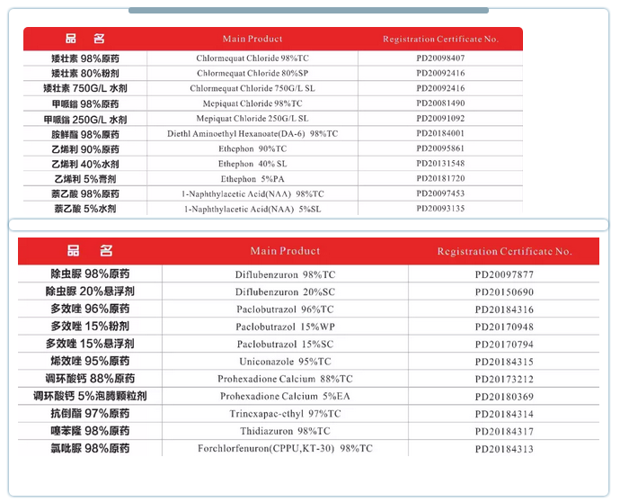 米乐M6·(中国游)官方网站